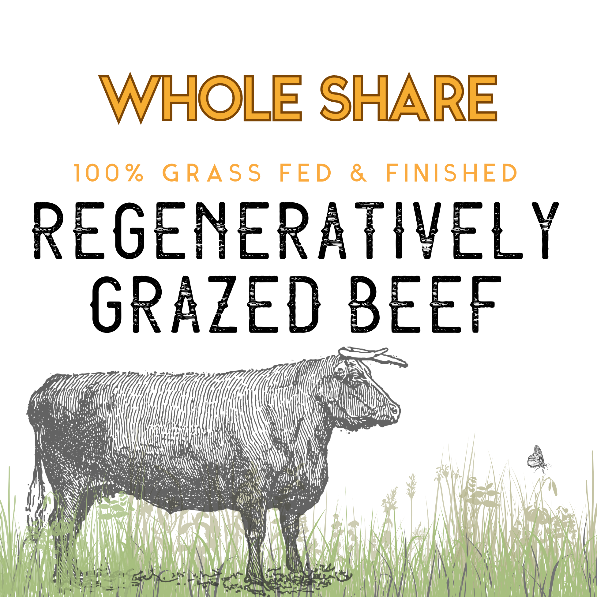 WHOLE Beef Share- DEPOSIT (FALL '24 Harvest)