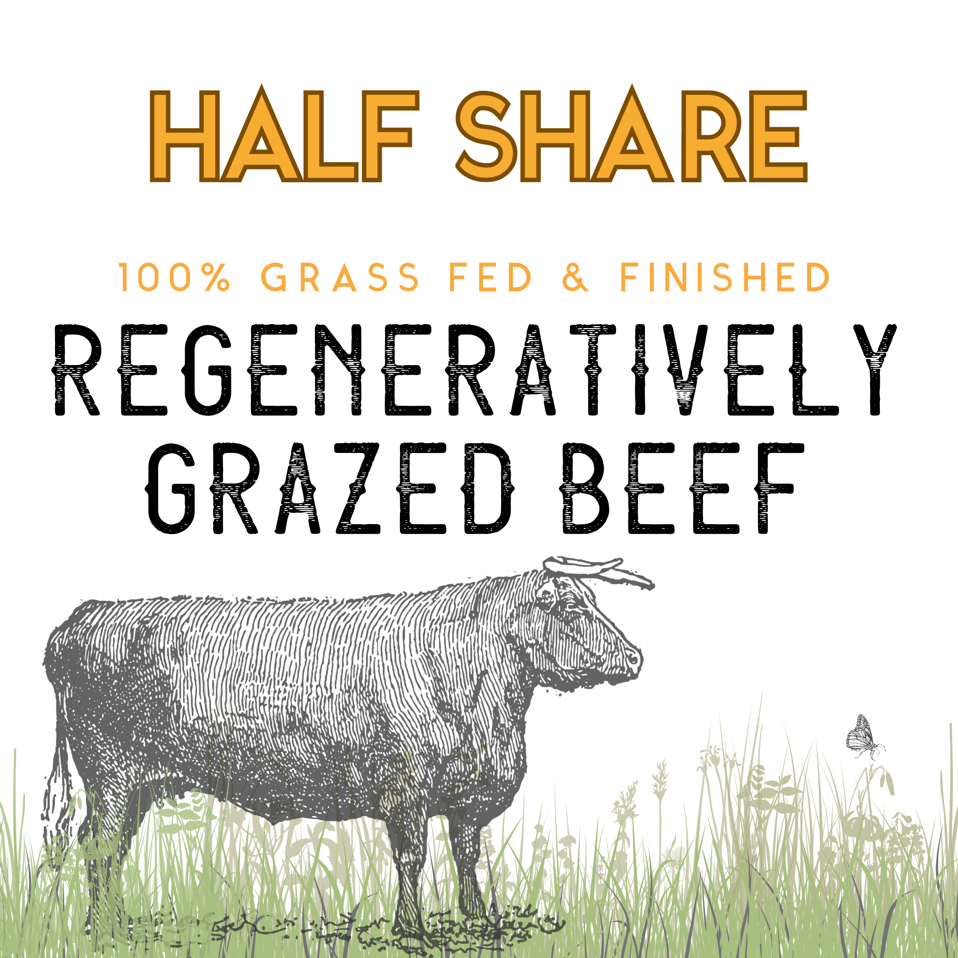 HALF Beef Share- DEPOSIT (FALL '24 Harvest)