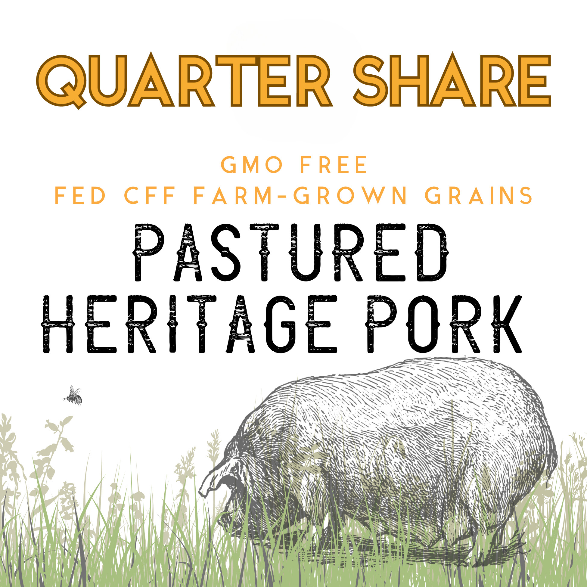 QUARTER Hog Share- (Sept '25 Harvest)