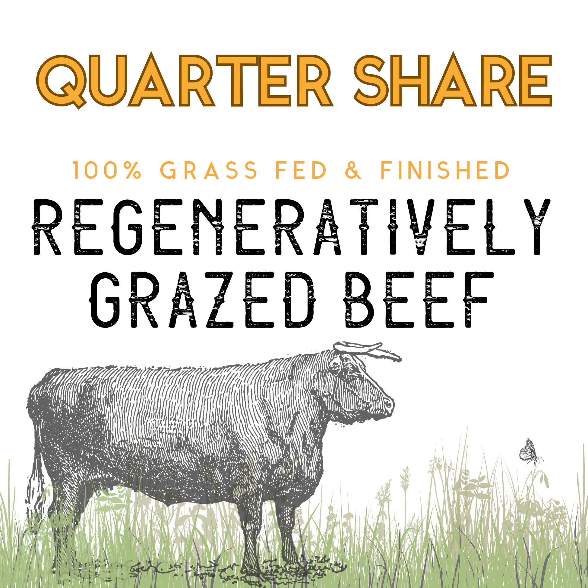 QUARTER Beef Share- DEPOSIT (FALL '24)