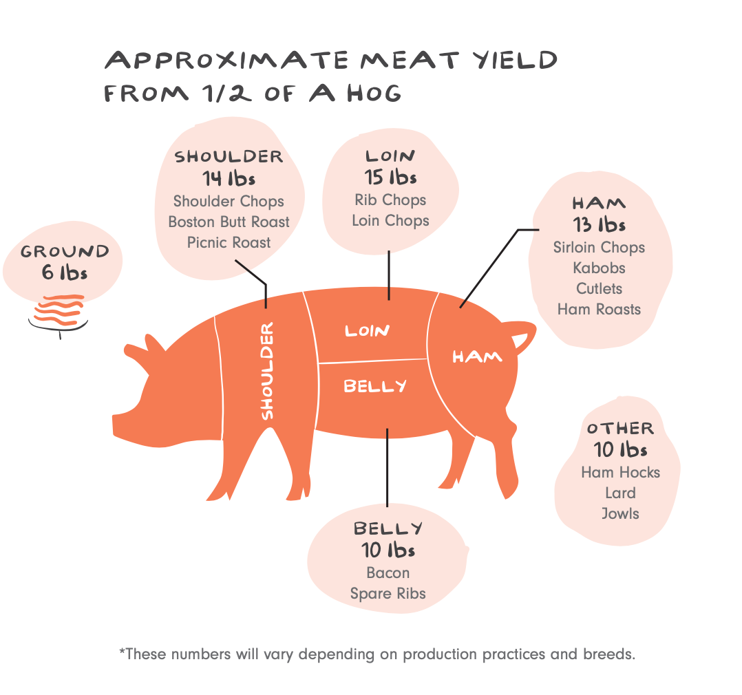 HALF Hog Share- DEPOSIT (Sept '25 Harvest)