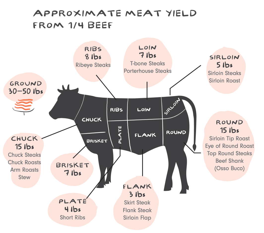 QUARTER Beef Share- DEPOSIT (FALL '24)