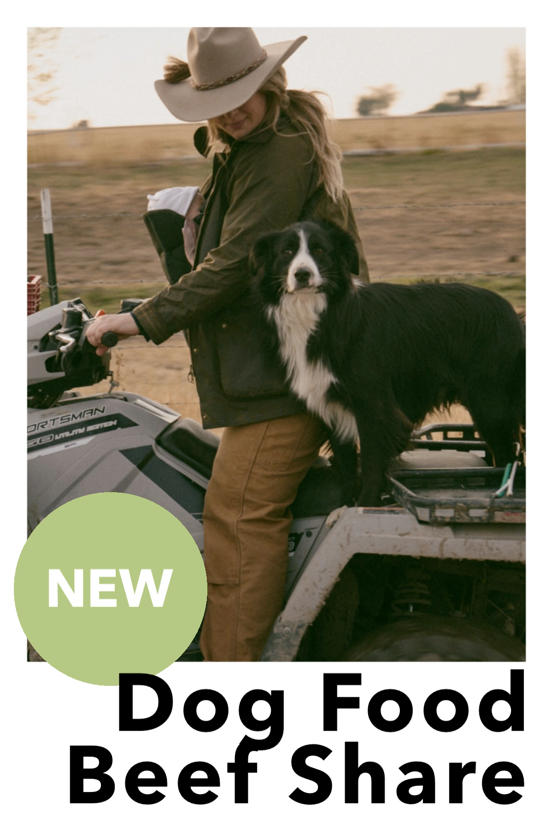 DOG FOOD Beef Share - Central Oregon pickup or Local Delivery